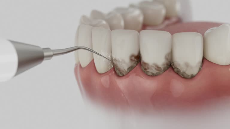Reliable Root Canal Treatment contractor in Crawford County County, AR by Dentist Open Now